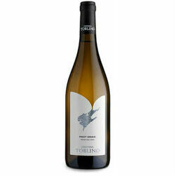 b-vins-cantina-toblino-pinot-grigio-bio-13-0-75l