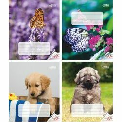 burtnica-liniju-12-lapas-70g