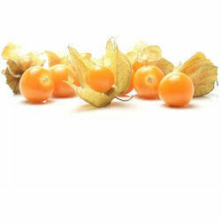 fizali-12-kal-100g-gab