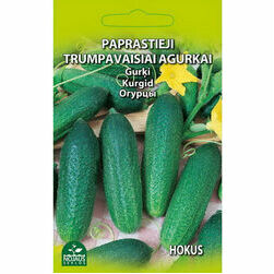 isauglu-gurki
