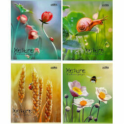 klade-st-48lp-rutinu-daba-osiris