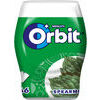Košļājamā gumija Spearmint 46 gab., Orbit