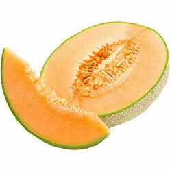 melone-cantalupe-sver