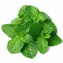 piparmetra-faseta-2-sk-20g