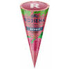 RŪJIENA Aveņu konuss (40x110ml/60g)