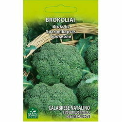 seklas-brokolis-groene-calabrese-1g