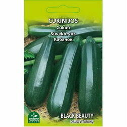seklas-cukini-black-beauty-2g