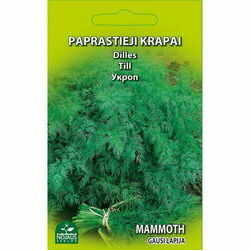 seklas-dilles-mammoth-5g