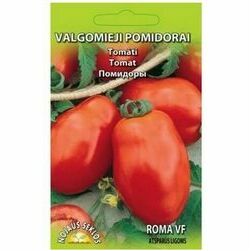 seklas-tomati-roma-vf-1g