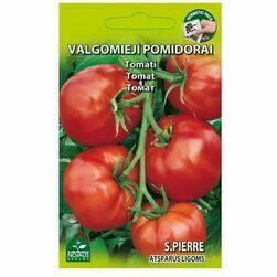 seklas-tomato-s-pierre