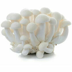 senes-simeji-baltas-150g