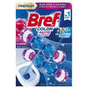Tualetes bloks Color Auto Active Flower 2x50g, Bref